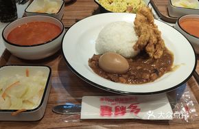 Braised Pork Rice with Chicken Cutlet