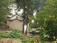 android_upload_pic-塔川景区