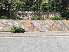 -上海滨江森林公园