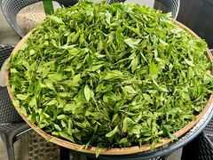 -阿巧茶庄