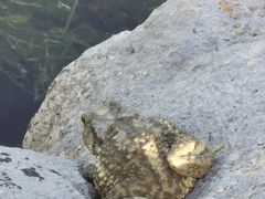 -滴水湖帆船营地