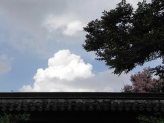 -渭塘酒家(生态园店)