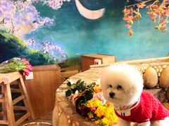 -北京美神宫艺术主题温泉酒店