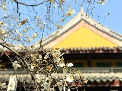 -龙华寺