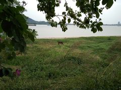 -羚羊峡古栈道森林公园
