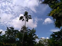 -新加坡飞禽公园