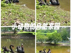 -长白岛森林公园