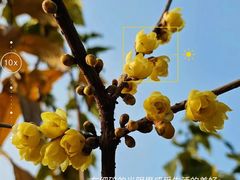 -四川大学(华西校区)