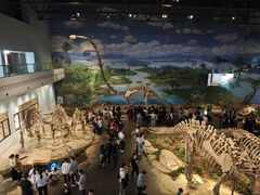 -自贡恐龙博物馆