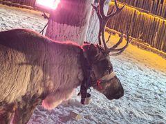 -长春世界雕塑园冰雪艺术天地