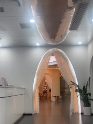 -T8 SALON