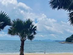 -大梅沙海滨公园