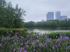 -白塘生态植物园