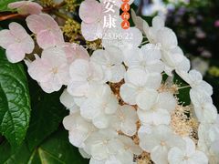 -黔蘑菇四季餐厅(观山湖店)