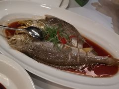 -上海小南国(不夜城店)