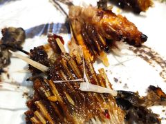 -渔码头烤鱼(美食城店)