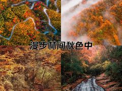 -光雾山旅游景区