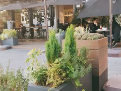-gaga(深圳南山益田假日广场店)