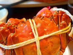 -蟹天蟹地农家菜·阳澄湖大闸蟹(浅水湾店)