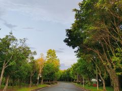 -福建鲤鱼洲酒店