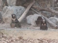 -清迈夜间动物园
