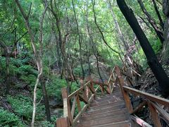 -大岭沟猕猴桃谷风景区