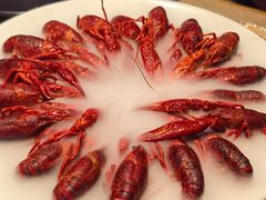 -红盔甲·小龙虾(车公庙店)