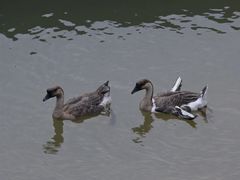 -飞霞风景名胜区