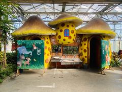 -南宫五洲植物乐园