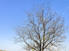 -盘龙城国家考古遗址公园