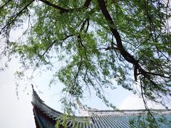 -黔灵山公园