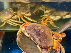 -广记海鲜(杨汊湖一店)