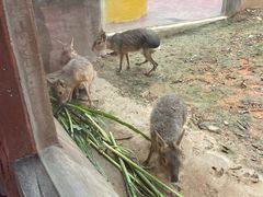 -广州融创文旅城