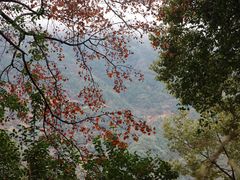 -篁岭景区