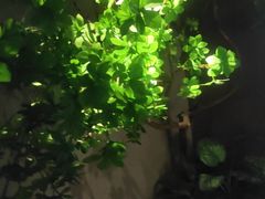 -唐宫足道·SPA·住宿24H会所(木渎店)
