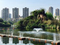 -重庆彩云湖湿地公园
