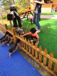 -萌宠亲子动物乐园(槐房万达店)