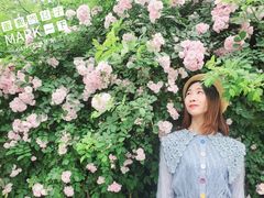 -白鹭湾湿地公园