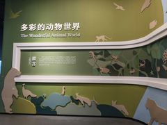 -国家自然博物馆