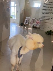 -优家儿童摄影(万达广场店)