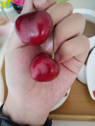 -喜月来月子会所