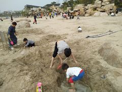 -九龙湖公园