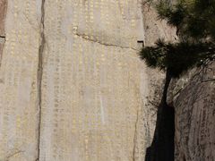 -泰山风景名胜区