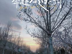 -水西公园