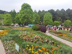 -铁山坪森林公园