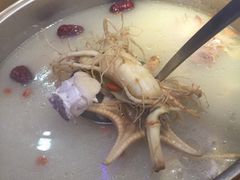 鲜人参火锅-千岛蚝高压锅生蚝·人参火锅(白云万达店)