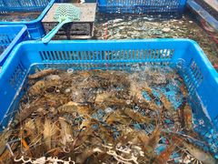 -盒马鲜生(首义店)