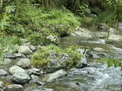 -石台牯牛降景区