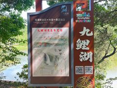 -九鲤湖风景区