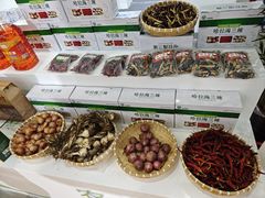 -长春农博园
